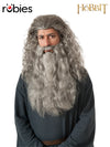 GANDALF BEARD KIT - ADULT - Front