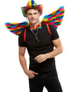 RAINBOW FEATHER WINGS, ADULT - Front