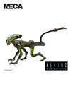 ALIEN'S FIRETEAM ELITE - BURSTER 7" SCALE ACTION FIGURE - Front
