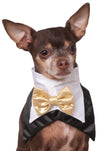 TUXEDO BANDANA COSTUME, PET - Front