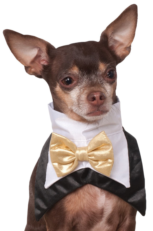 TUXEDO BANDANA COSTUME, PET - Front