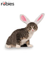 BUNNY EARS PET ACCESSORY - Front
