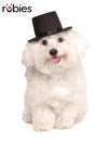 TOP HAT, PET - Front