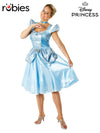 CINDERELLA COSTUME, ADULT - Front