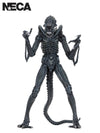 ALIENS ULTIMATE ALIENS WARRIOR (1986) BLUE - 7" SCALE ACTION FIGURE - Front