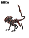ALIENS FIRETEAM ELITE PROWLER 7" ACTION FIGURE - Front