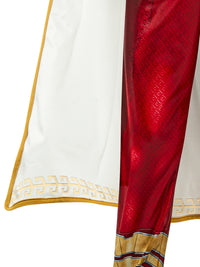 SHAZAM 2 DELUXE COSTUME, CHILD - Side