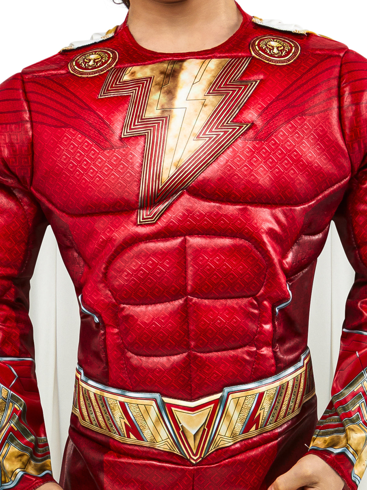 SHAZAM 2 DELUXE COSTUME, CHILD - Back
