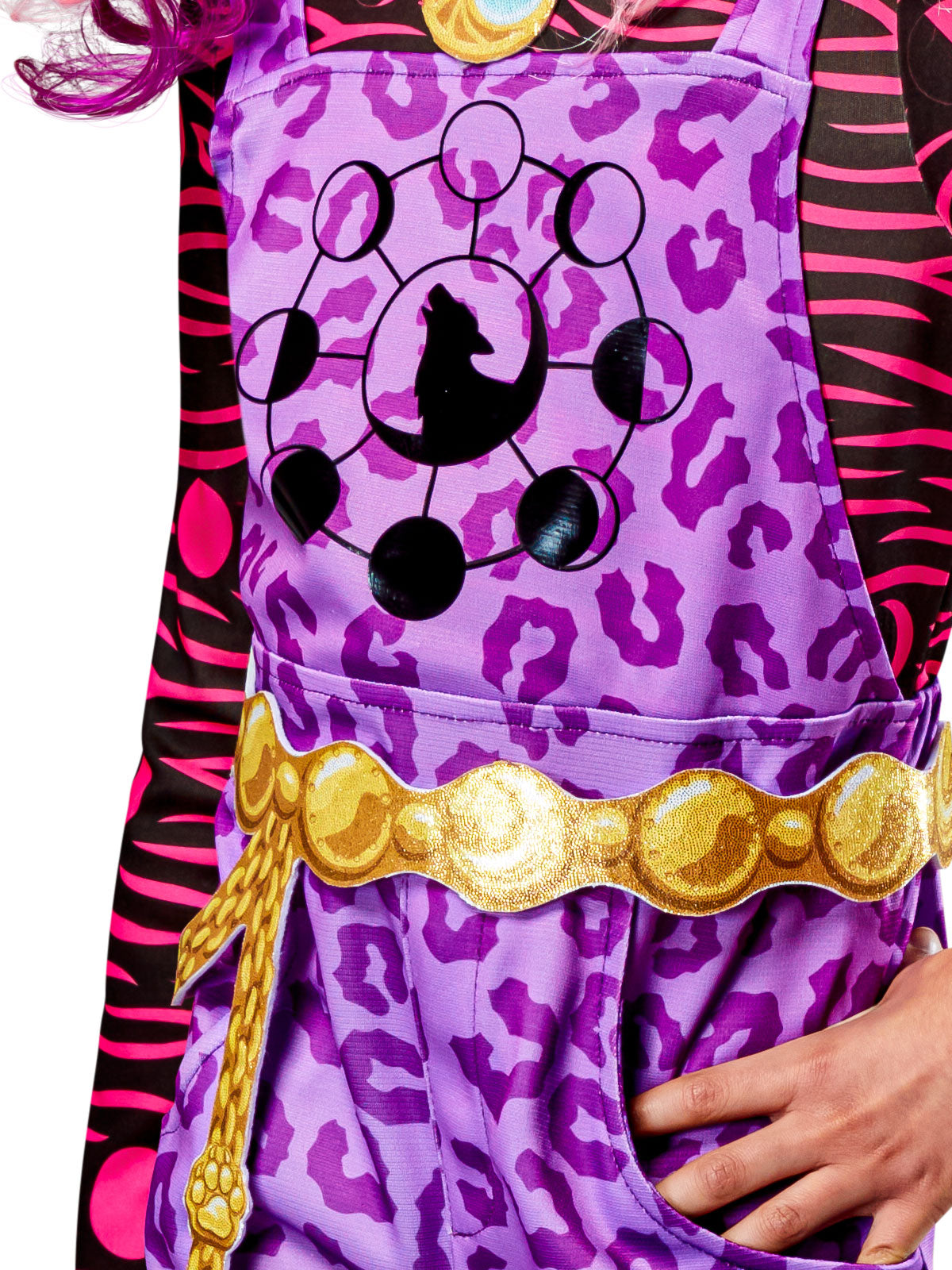 CLAWDEEN WOLF DELUXE MONSTER HIGH COSTUME, CHILD - Packaging