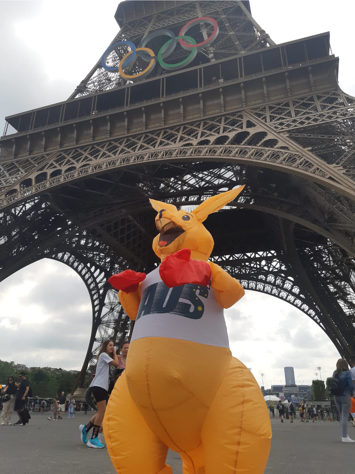 BOXING KANGAROO INFLATABLE COSTUME, ADULT - ONE SIZE