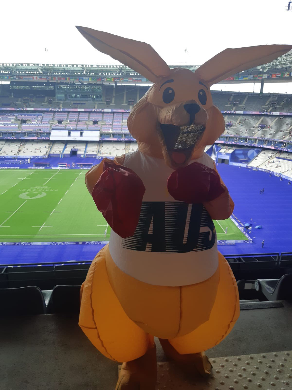 BOXING KANGAROO INFLATABLE COSTUME, ADULT - ONE SIZE