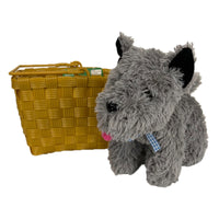 TOTO IN A BASKET - Back