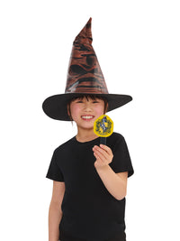 HARRY POTTER SORTING HAT WITH HOUSE BADGES