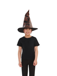 HARRY POTTER SORTING HAT WITH HOUSE BADGES