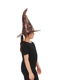 HARRY POTTER SORTING HAT WITH HOUSE BADGES