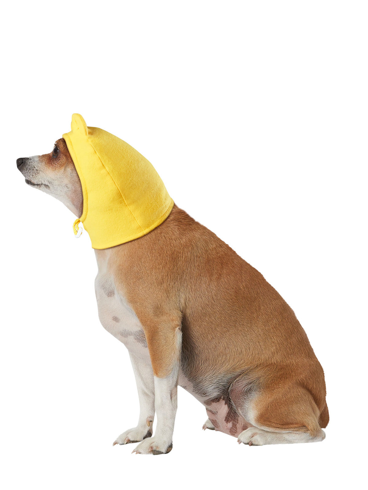WINNIE THE POOH PET ACCESSORY - Side