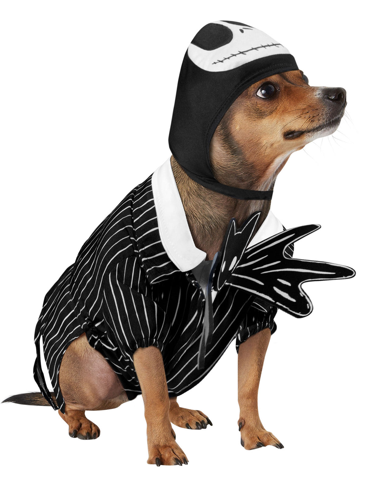 JACK SKELLINGTON PET COSTUME - Back