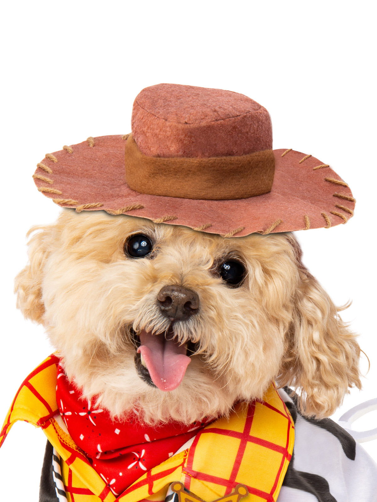 WOODY TOY STORY DOG COSTUME - PET - Side