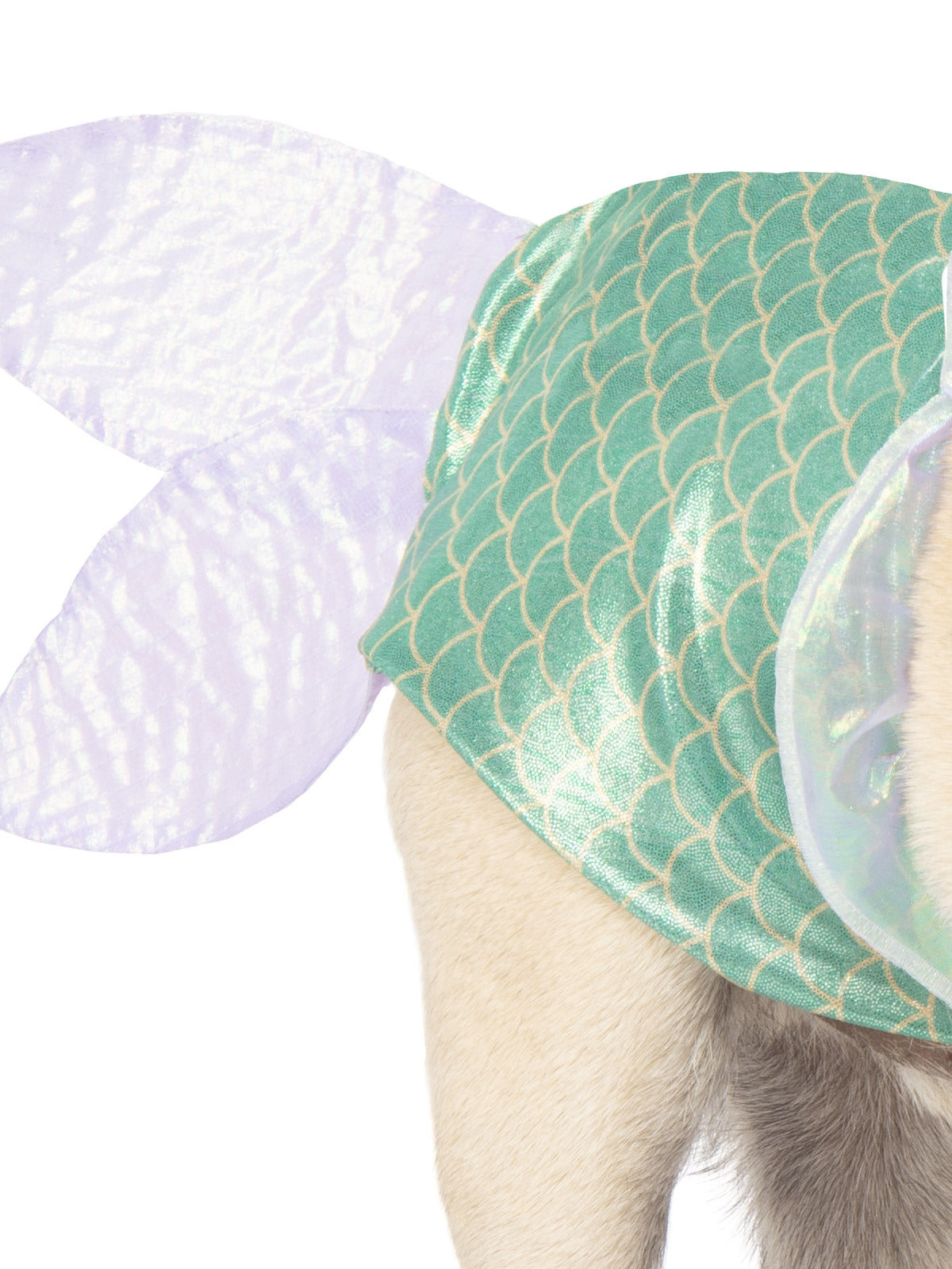 ARIEL DOG COSTUME, PET - Side