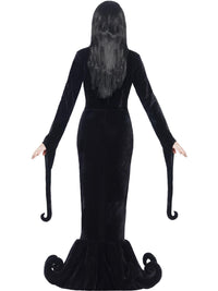 DUCHESS OF THE MANOR COSTUME - Packaging