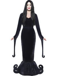 DUCHESS OF THE MANOR COSTUME