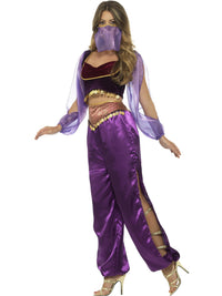ARABIAN PRINCESS COSTUME, ADULT - M - Back