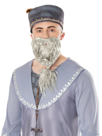 DUMBLEDORE COSTUME, ADULT - Back
