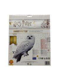 HARRY POTTER ACCESSORY SET, BOXED - Packaging