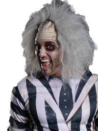 BEETLEJUICE COSTUME KIT, ADULT - STD - Back