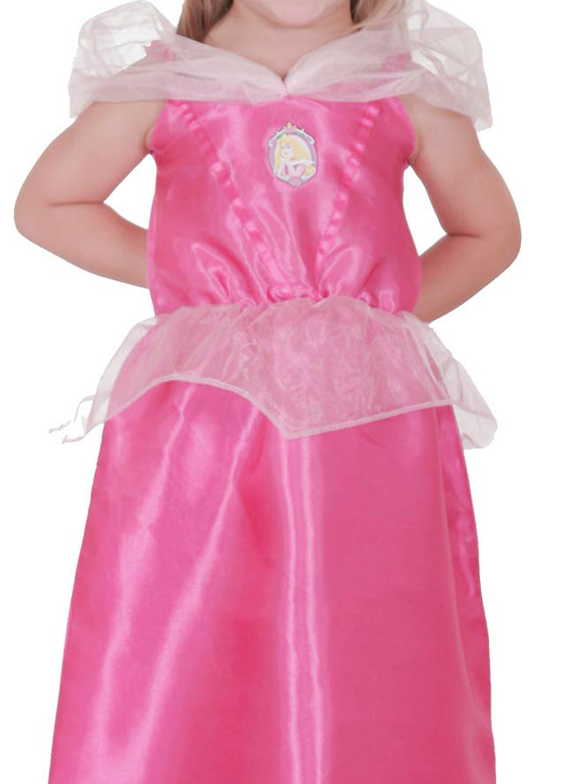 SLEEPING BEAUTY CLASSIC COSTUME, CHILD - 6-8 YRS - Back