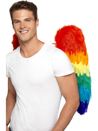 FEATHER RAINBOW WINGS, ADULT - Packaging