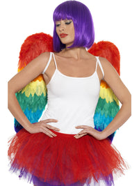 FEATHER RAINBOW WINGS, ADULT - Front