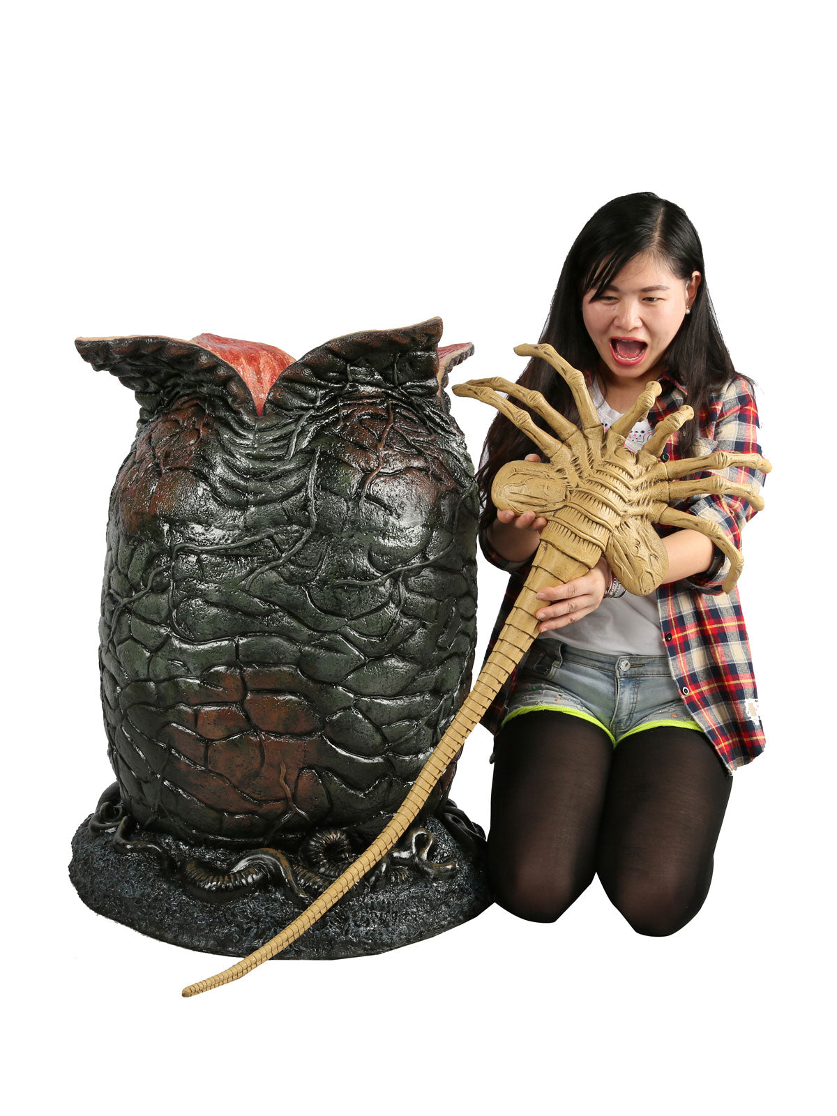 ALIEN LIFE-SIZE EGG AND FACEHUGGER FOAM REPLICA - Side