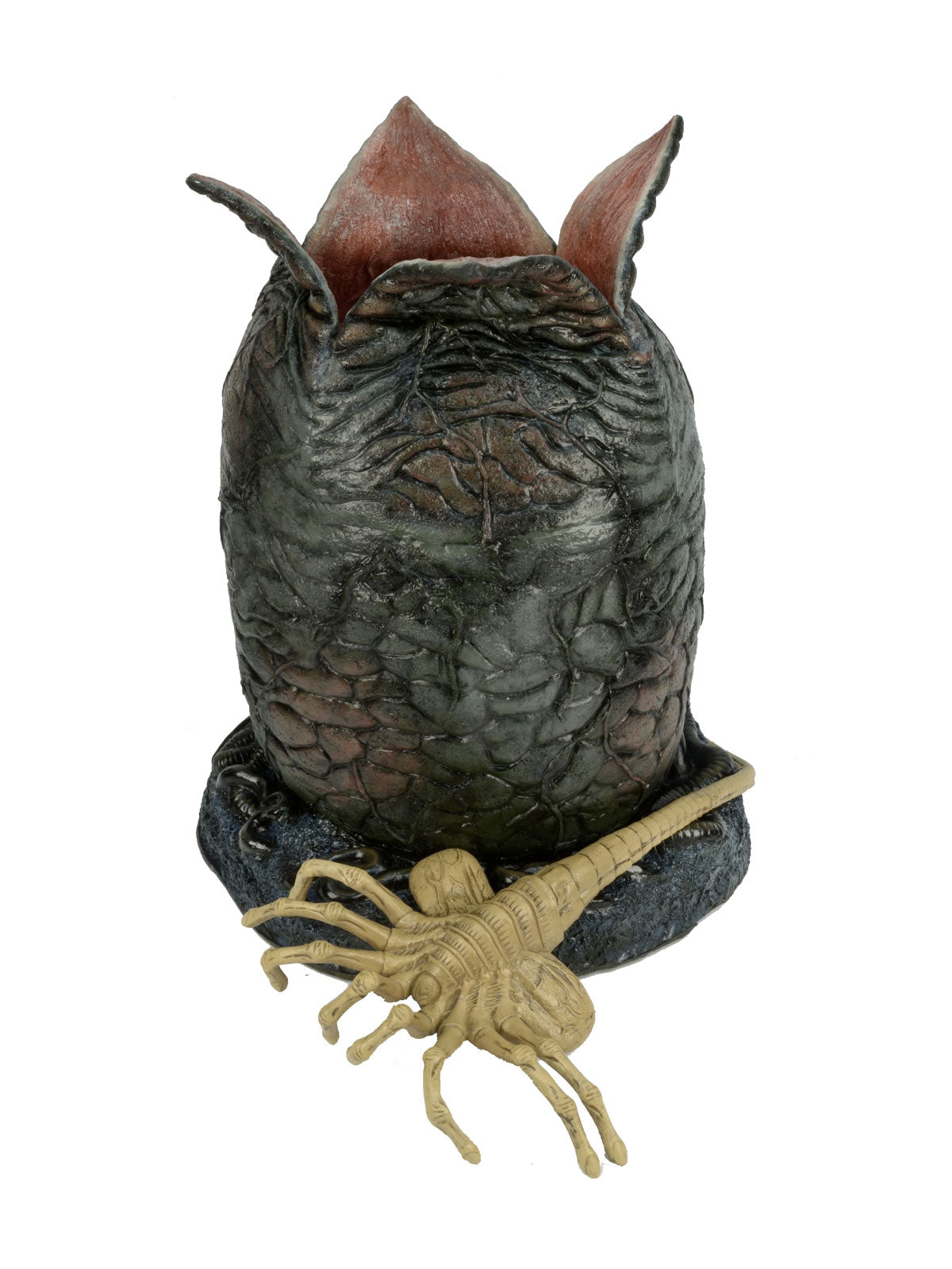 ALIEN LIFE-SIZE EGG AND FACEHUGGER FOAM REPLICA - Packaging
