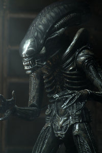 ALIENS 40TH ANNIVERSARY BIG CHAP 7" SCALE ACTION FIGURE