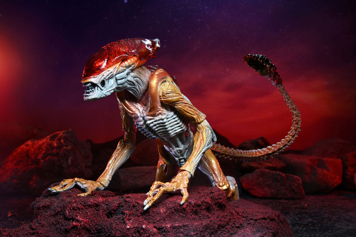 ALIENS - PANTHER ALIEN KENNER TRIBUTE 7" SCALE ACTION FIGURE - Packaging