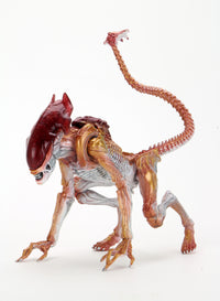 ALIENS - PANTHER ALIEN KENNER TRIBUTE 7" SCALE ACTION FIGURE - Back