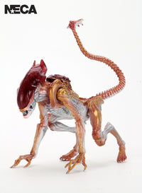 ALIENS - PANTHER ALIEN KENNER TRIBUTE 7" SCALE ACTION FIGURE - Front