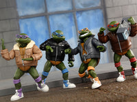 TMNT (CARTOON) PUNK TURTLES 4 PACK - 7" SCALE ACTION FIGURES - Packaging