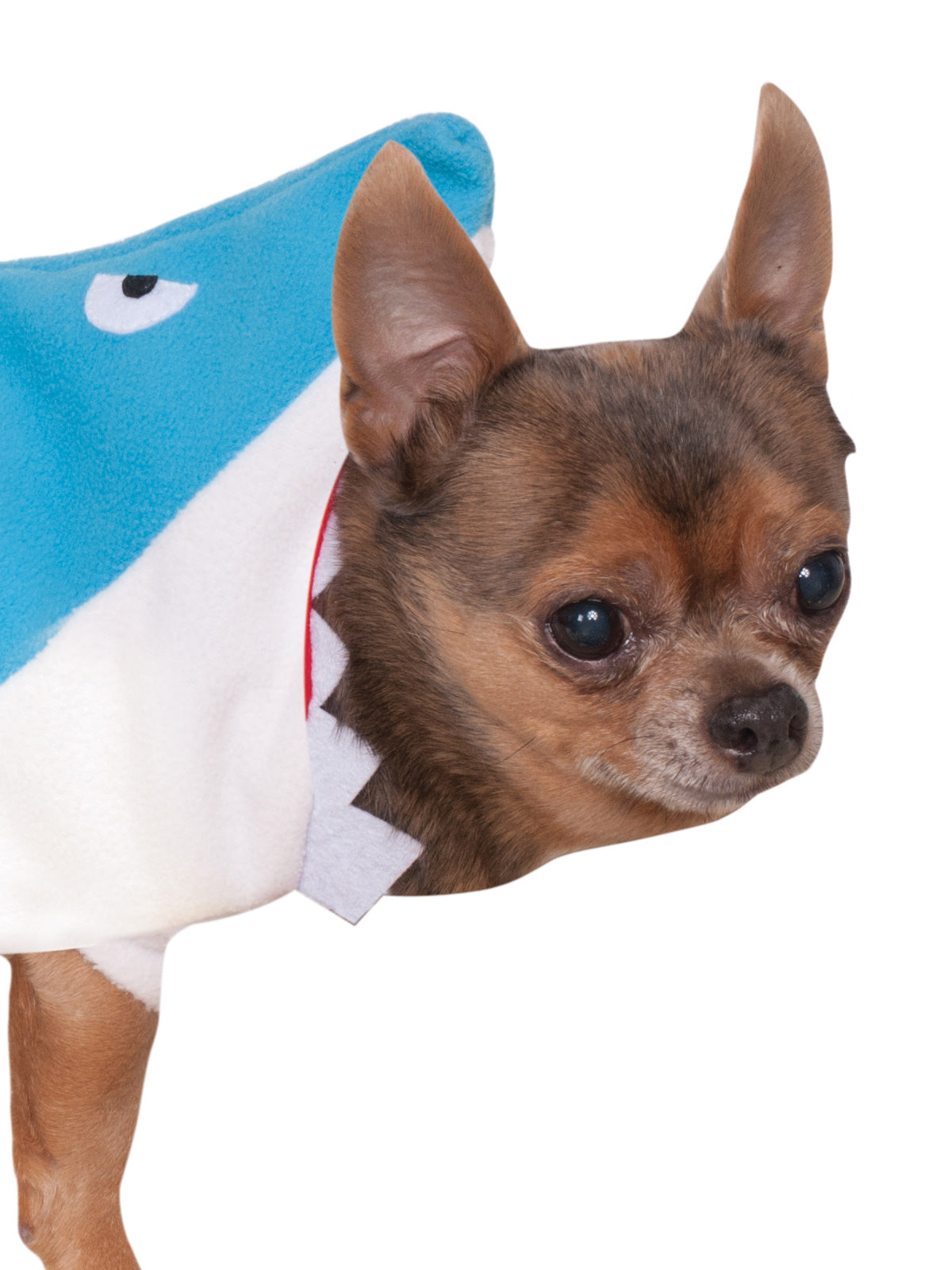 SHARK DOG COSTUME, PET - Back