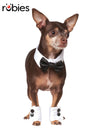TUXEDO SET COSTUME, PET - L-XL - Front