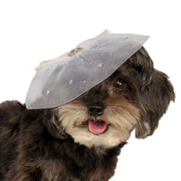 FANCY FORMAL HAT, PET - Back