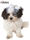 FANCY FORMAL HAT, PET - Front