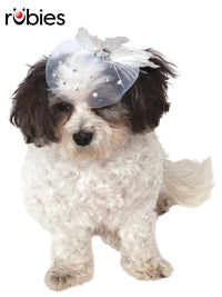 FANCY FORMAL HAT, PET - Front