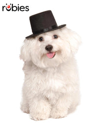 TOP HAT, PET - Front