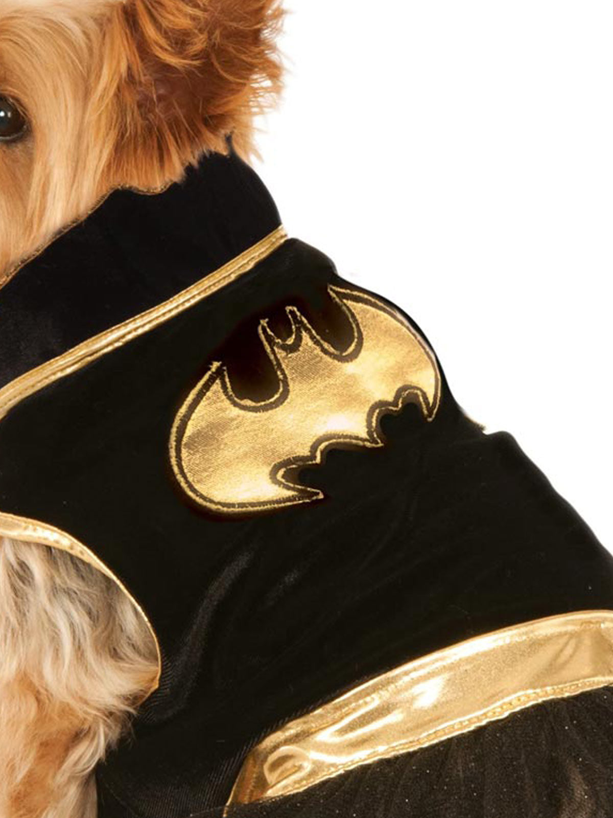 BATGIRL PET TUTU DRESS - Back
