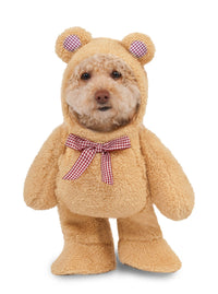 WALKING TEDDY BEAR COSTUME, PET - Front