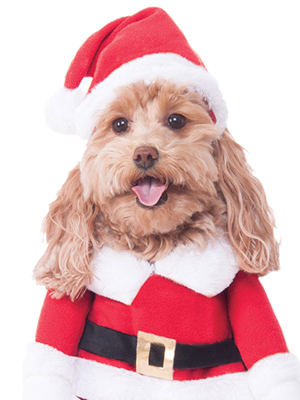WALKING SANTA DELUXE PET COSTUME - Back
