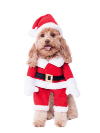 WALKING SANTA DELUXE PET COSTUME - Front