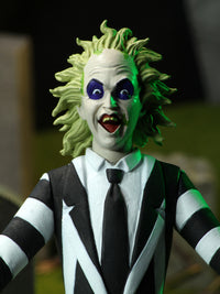 BEETLEJUICE (1988) - BEETLEJUICE TOONY TERRORS - 6" SCALE ACTION FIGURE - Packaging